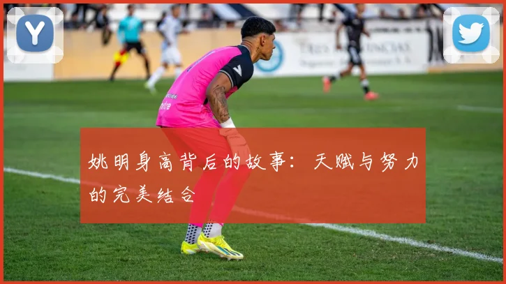 姚明身高背后的故事：天赋与努力的完美结合